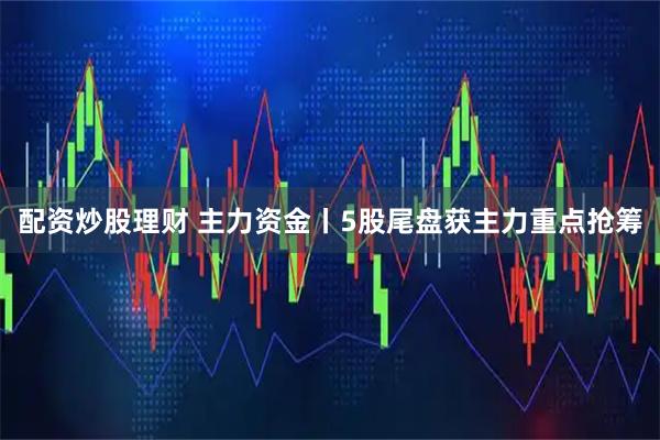配资炒股理财 主力资金丨5股尾盘获主力重点抢筹