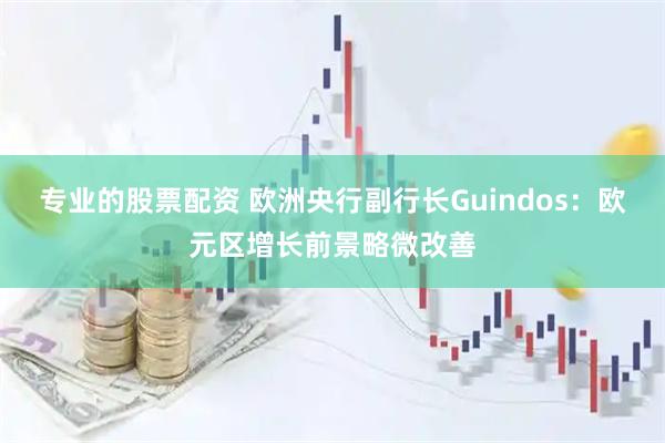 专业的股票配资 欧洲央行副行长Guindos：欧元区增长前景略微改善