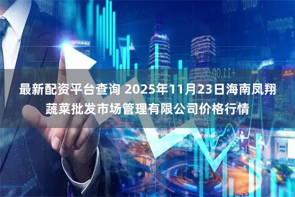 最新配资平台查询 2025年11月23日海南凤翔蔬菜批发市场管理有限公司价格行情